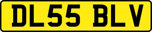 DL55BLV