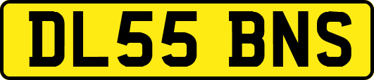 DL55BNS