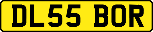 DL55BOR