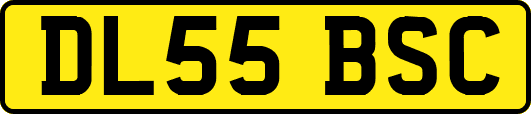 DL55BSC