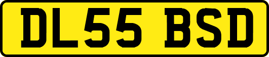 DL55BSD