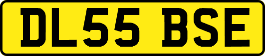 DL55BSE