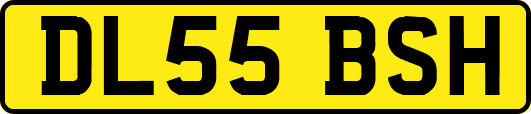 DL55BSH