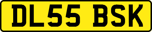 DL55BSK