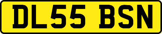 DL55BSN