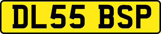 DL55BSP