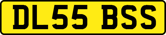 DL55BSS