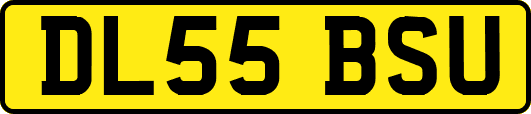 DL55BSU
