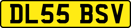 DL55BSV