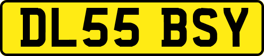 DL55BSY