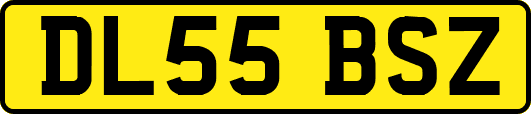 DL55BSZ