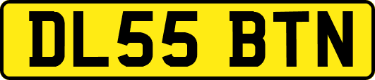 DL55BTN