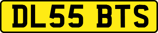 DL55BTS