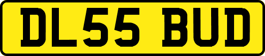 DL55BUD