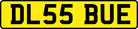 DL55BUE