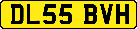 DL55BVH