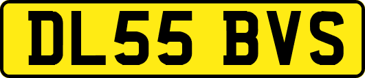 DL55BVS