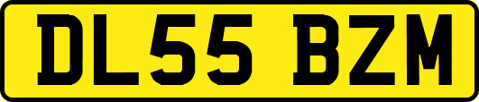 DL55BZM