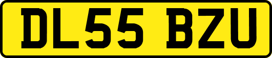 DL55BZU