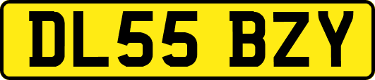 DL55BZY