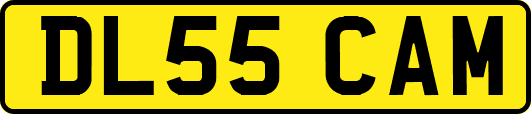 DL55CAM