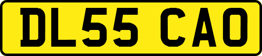 DL55CAO