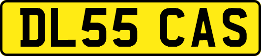 DL55CAS