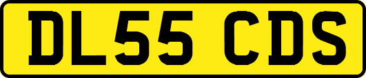 DL55CDS