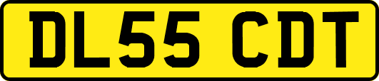 DL55CDT