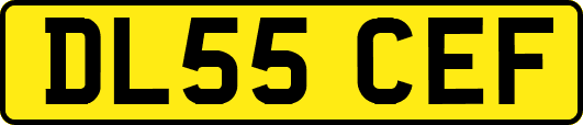 DL55CEF