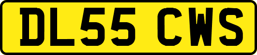 DL55CWS