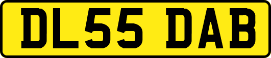 DL55DAB