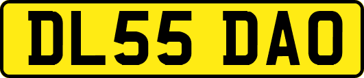 DL55DAO
