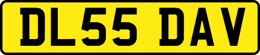 DL55DAV