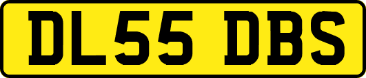 DL55DBS