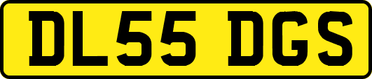 DL55DGS