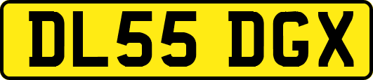 DL55DGX