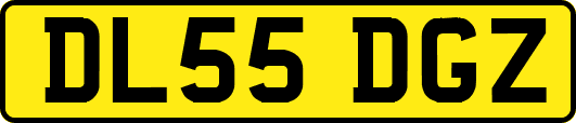 DL55DGZ