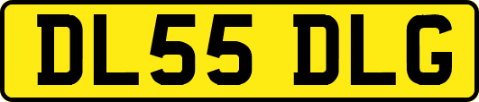 DL55DLG