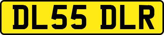 DL55DLR
