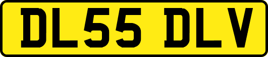 DL55DLV