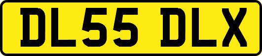 DL55DLX