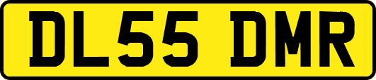 DL55DMR