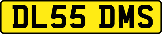 DL55DMS