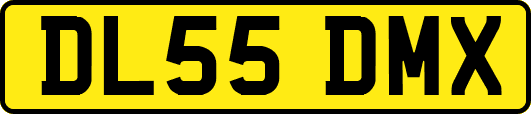 DL55DMX
