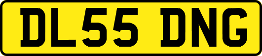 DL55DNG