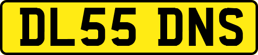 DL55DNS
