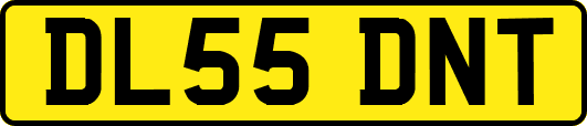 DL55DNT