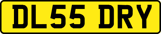 DL55DRY