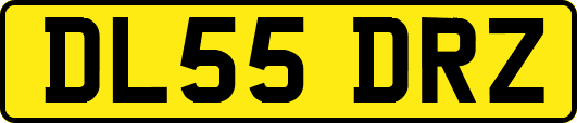 DL55DRZ